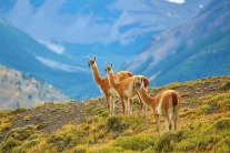  Top 10 Countries To Visit In 2018 